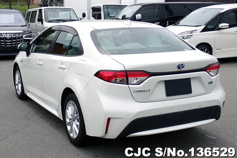 2019 Toyota / Corolla Stock No. 136529