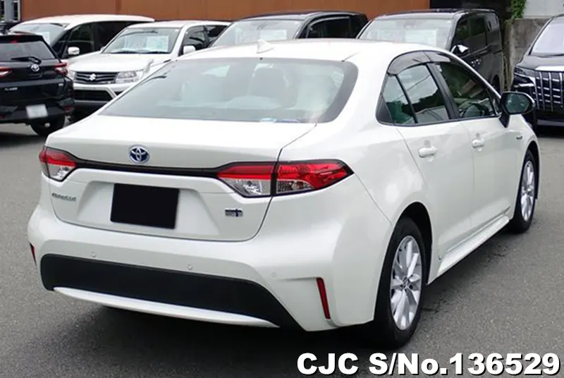 2019 Toyota / Corolla Stock No. 136529
