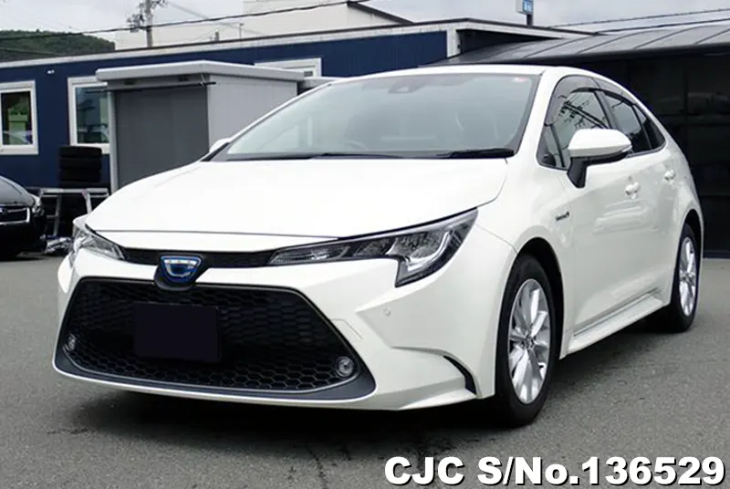 2019 Toyota / Corolla Stock No. 136529