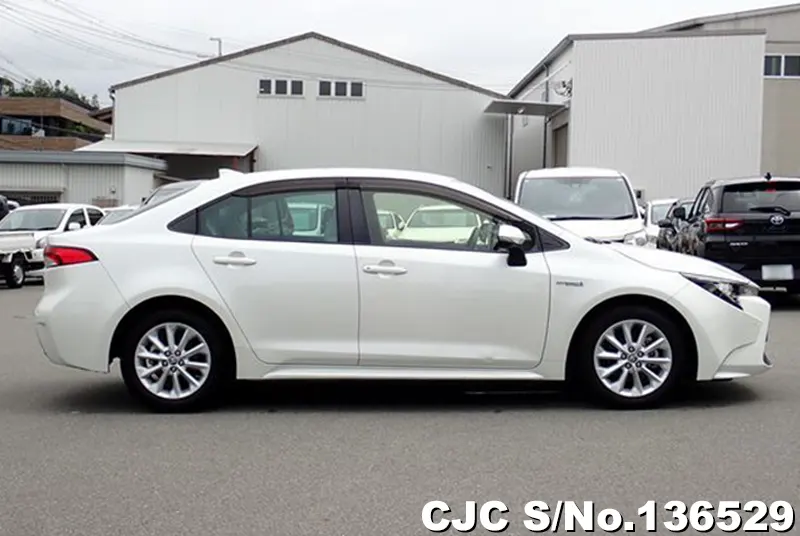 2019 Toyota / Corolla Stock No. 136529