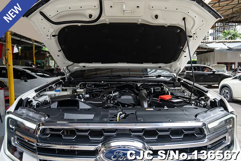 2022 Ford / Everest Stock No. 136567