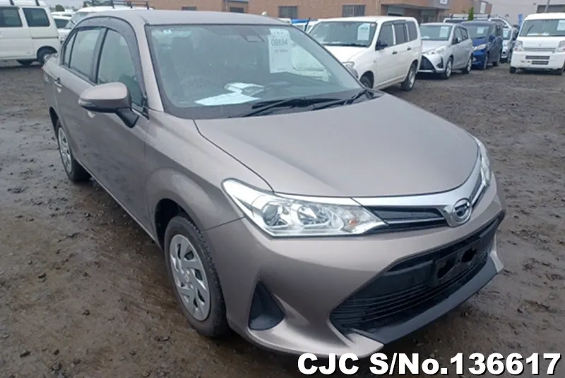 Toyota / Corolla Axio 2020