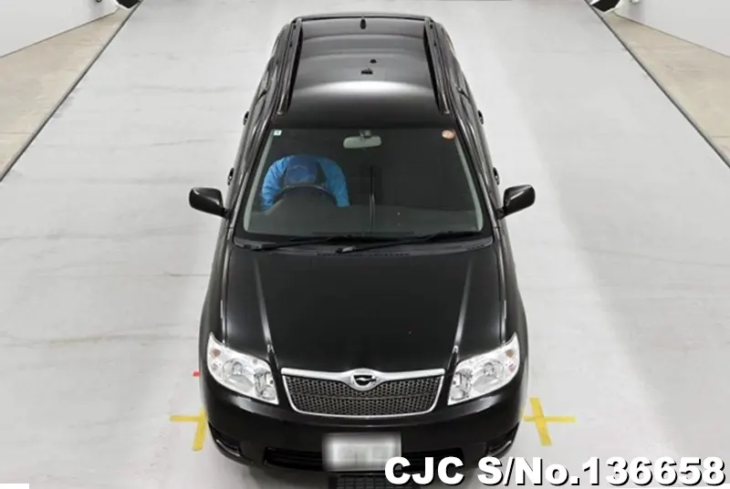 2006 Toyota / Corolla Fielder Stock No. 136658