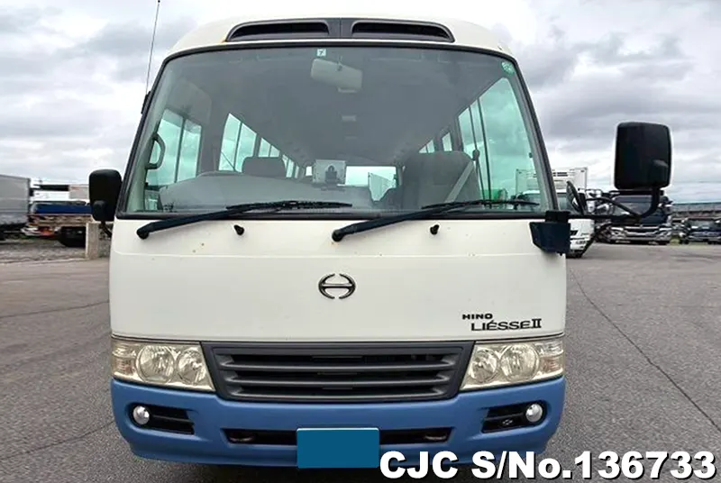 2010 Hino / Liesse Stock No. 136733
