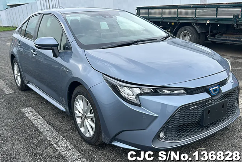Toyota / Corolla 2020