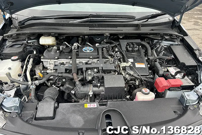 Toyota Corolla in Gray for Sale Image 10