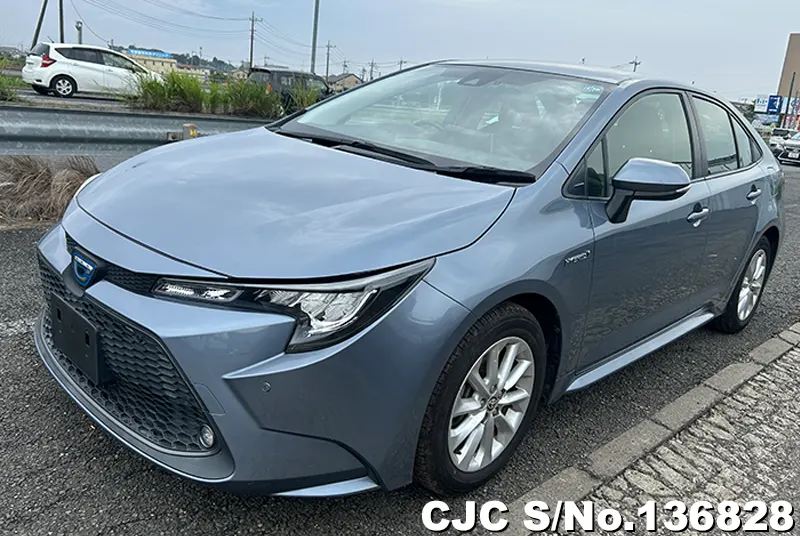 Toyota Corolla in Gray for Sale Image 2