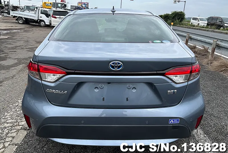 Toyota Corolla in Gray for Sale Image 4