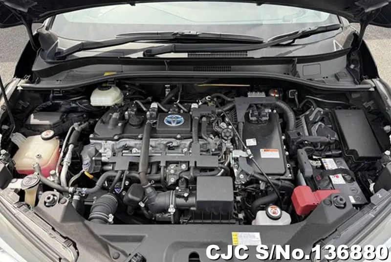 2017 Toyota / C-HR Stock No. 136880