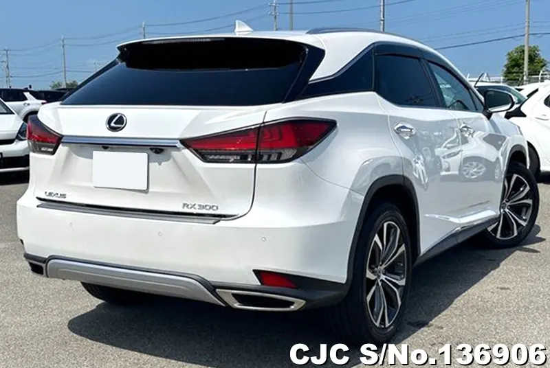 2021 Lexus / RX 300 Stock No. 136906