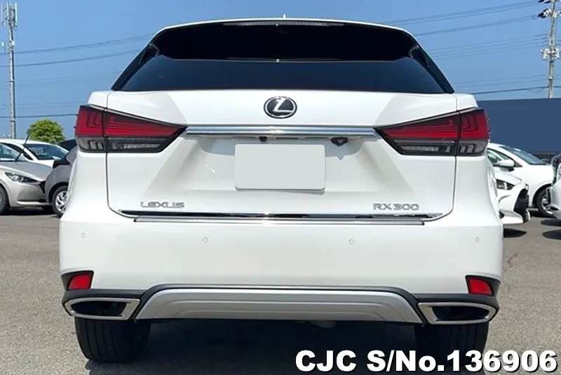 2021 Lexus / RX 300 Stock No. 136906