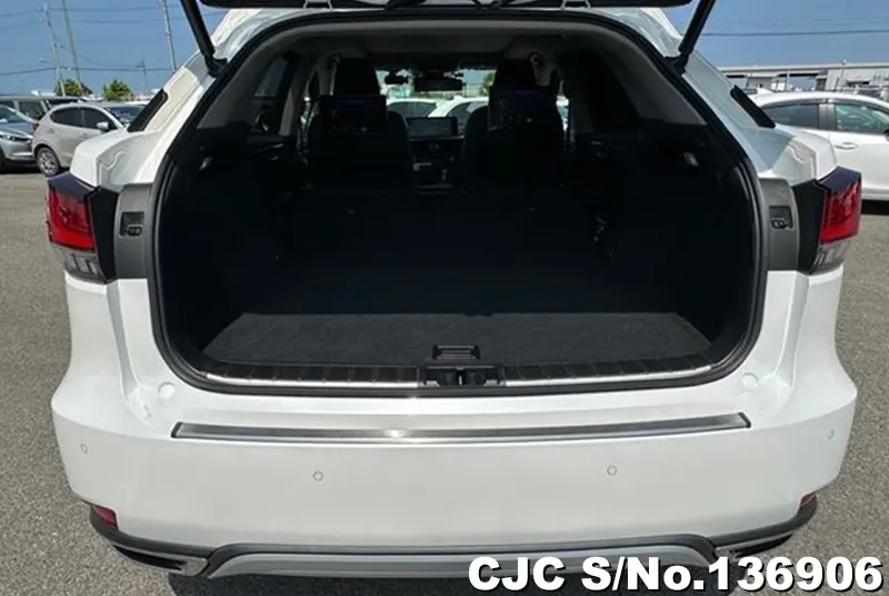 2021 Lexus / RX 300 Stock No. 136906