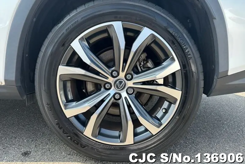 2021 Lexus / RX 300 Stock No. 136906