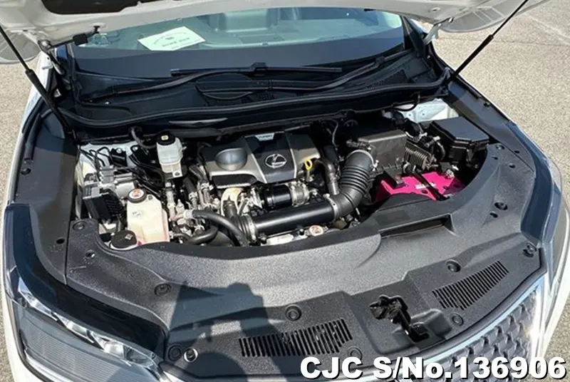 2021 Lexus / RX 300 Stock No. 136906