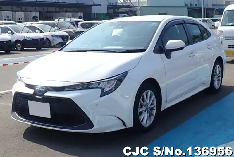 2021 Toyota / Corolla Stock No. 136956