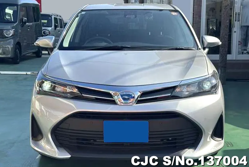2025 Toyota / Corolla Fielder Stock No. 137004