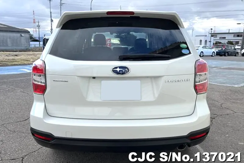 2015 Subaru / Forester Stock No. 137021