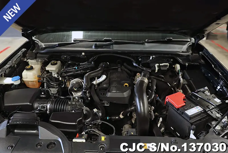 2023 Ford / Everest Stock No. 137030