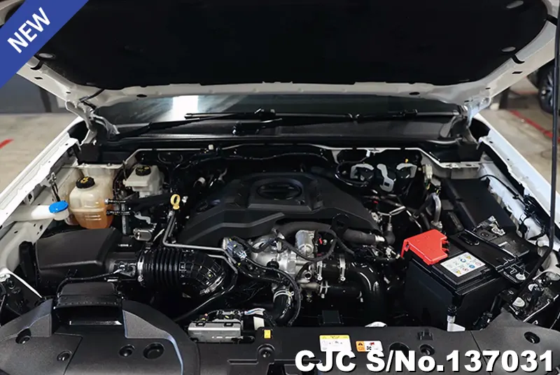 2024 Ford / Everest Stock No. 137031
