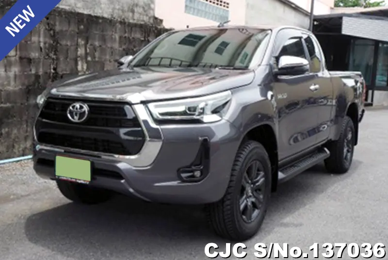 Toyota Hilux in Gray for Sale Image 3