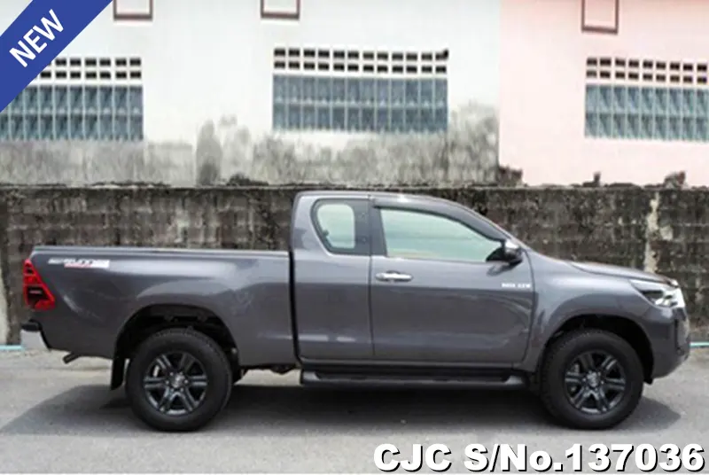 Toyota Hilux in Gray for Sale Image 6