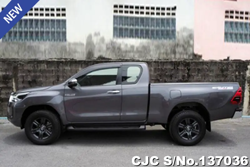 Toyota Hilux in Gray for Sale Image 7