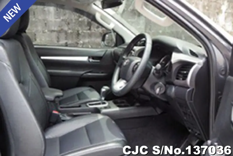 Toyota Hilux in Gray for Sale Image 9