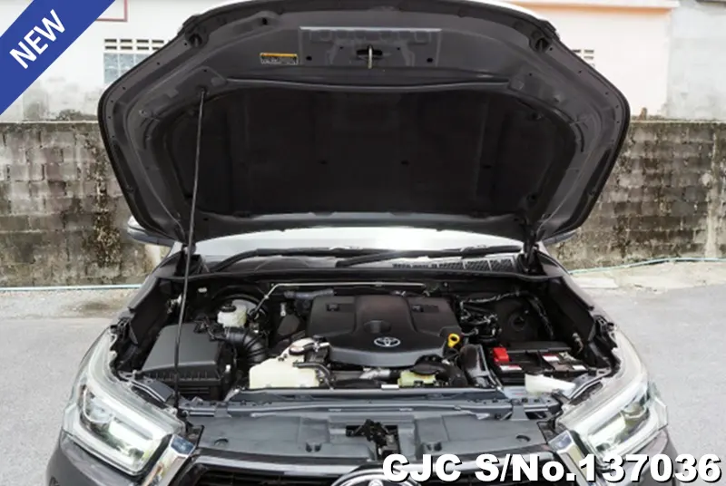 Toyota Hilux in Gray for Sale Image 16