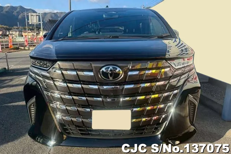 2026 Toyota / Alphard Stock No. 137075