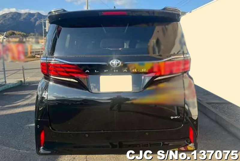 2026 Toyota / Alphard Stock No. 137075