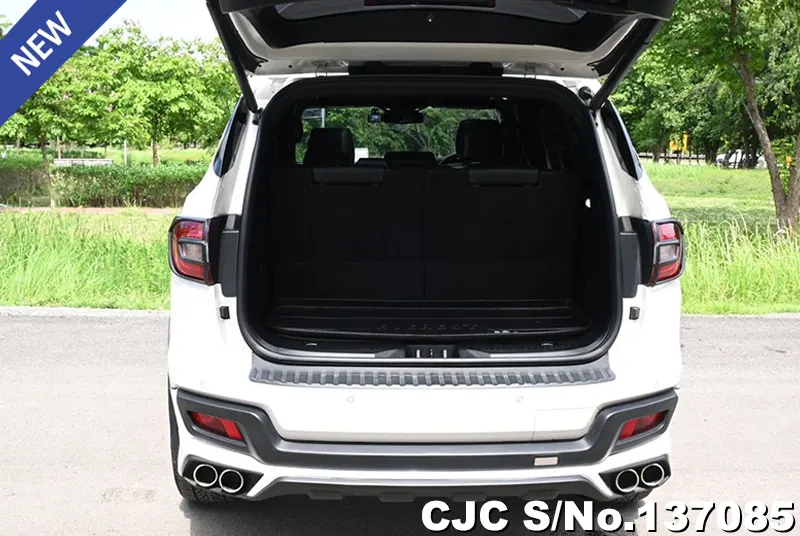 2021 Ford / Everest Stock No. 137085