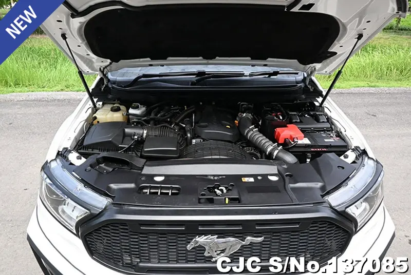 2021 Ford / Everest Stock No. 137085
