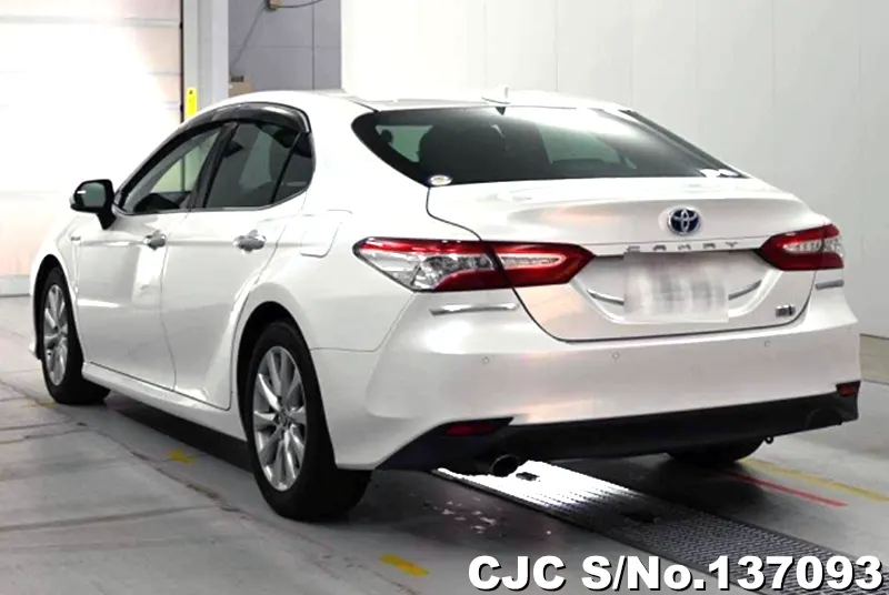 2020 Toyota / Camry Stock No. 137093