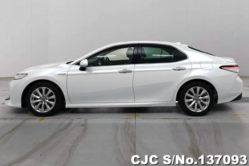 2020 Toyota / Camry Stock No. 137093