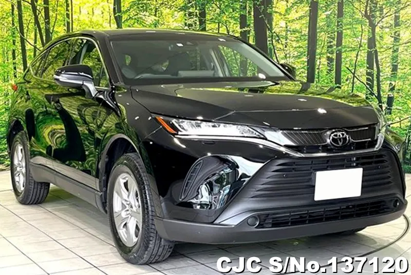 2023 Toyota / Harrier Stock No. 137120