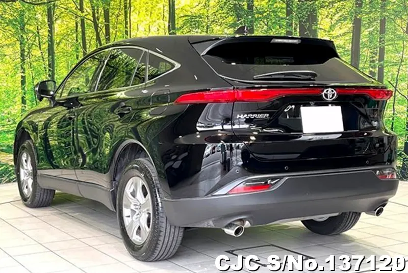 2023 Toyota / Harrier Stock No. 137120