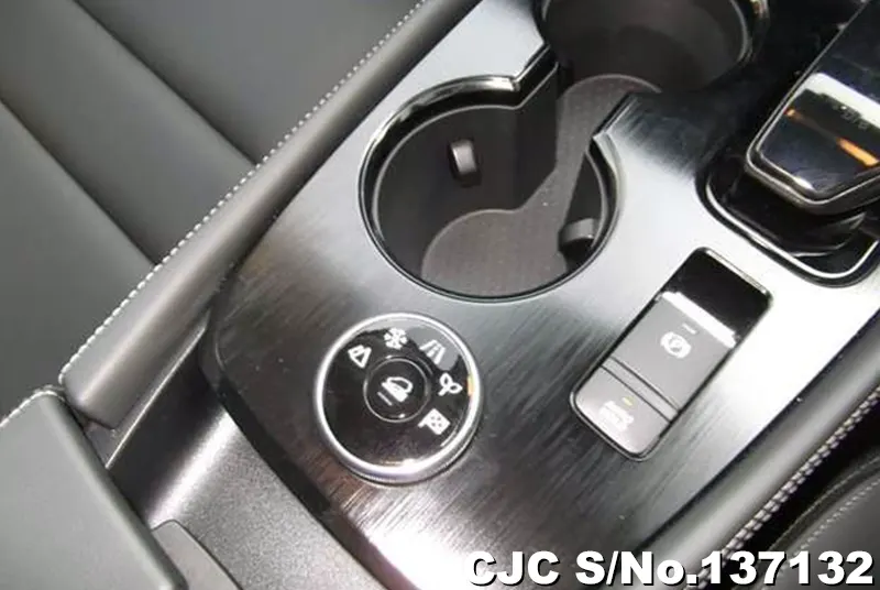 2025 Nissan / X-Trail Stock No. 137132