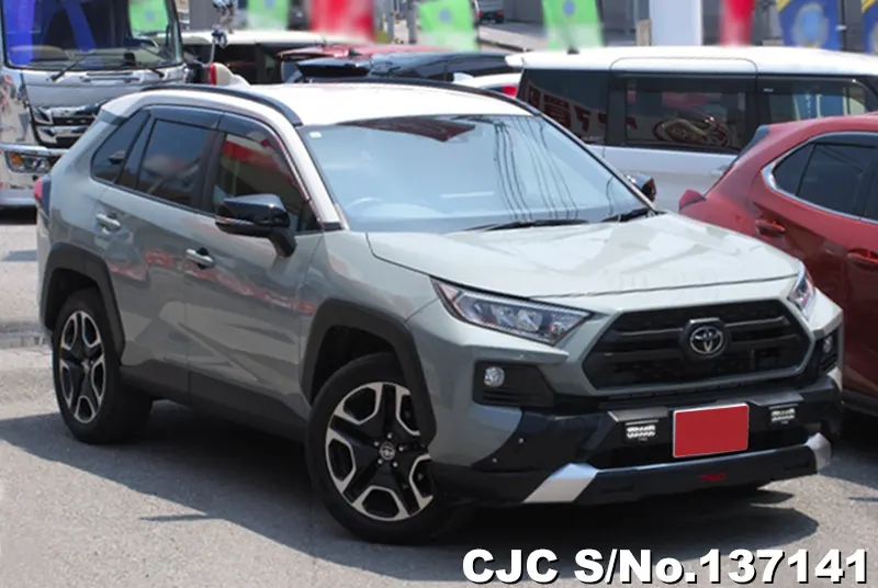 Toyota / Rav4 2021