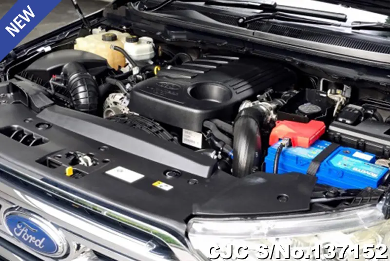 2015 Ford / Everest Stock No. 137152
