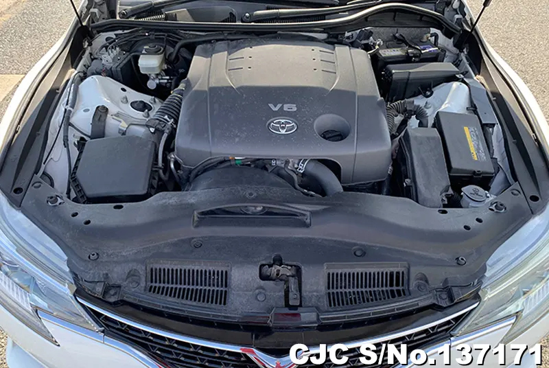 Toyota Mark X in White for Sale Image 14