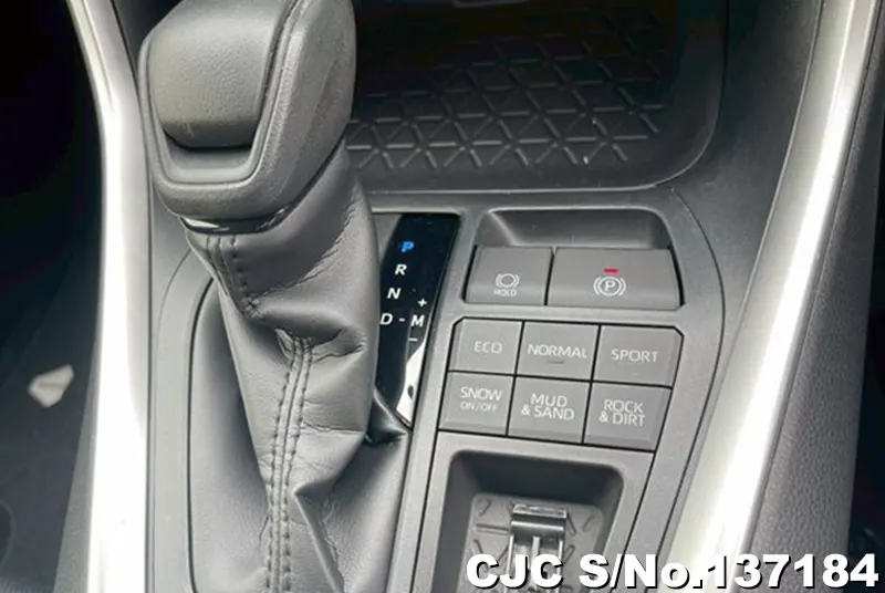 2019 Toyota / Rav4 Stock No. 137184