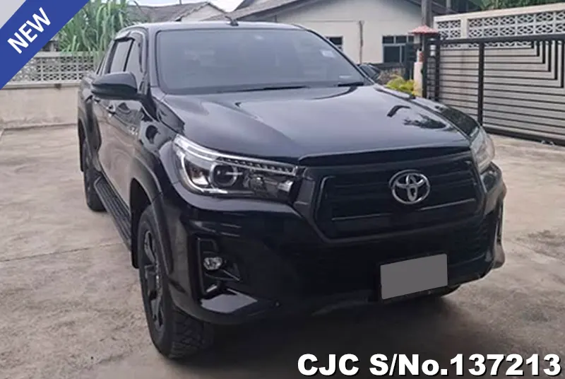 2019 Toyota / Hilux / Revo Rocco Stock No. 137213