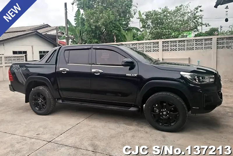 2019 Toyota / Hilux / Revo Rocco Stock No. 137213