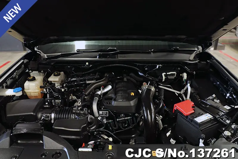 2024 Ford / Everest Stock No. 137261