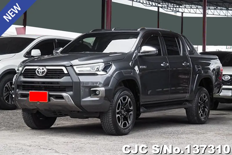 Toyota Hilux in Gray for Sale Image 3