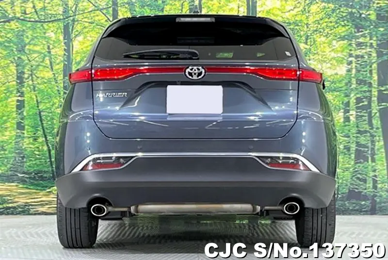 2022 Toyota / Harrier Stock No. 137350