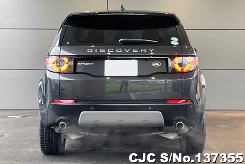 2019 Land Rover / Discovery / Sport Stock No. 137355