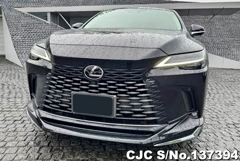 2025 Lexus / RX 350 Stock No. 137394