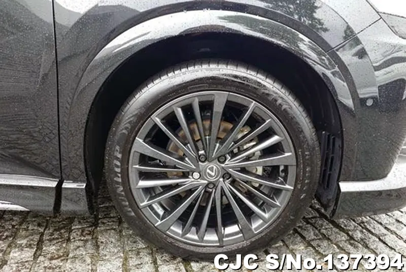 2025 Lexus / RX 350 Stock No. 137394