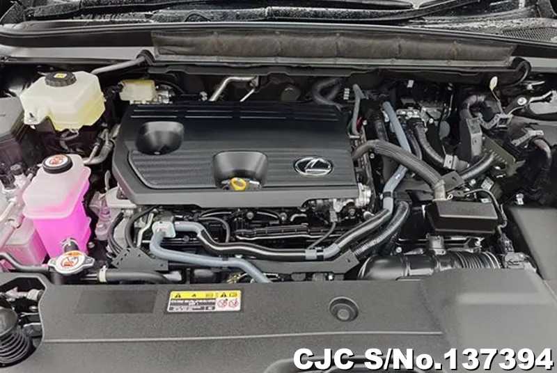 2025 Lexus / RX 350 Stock No. 137394